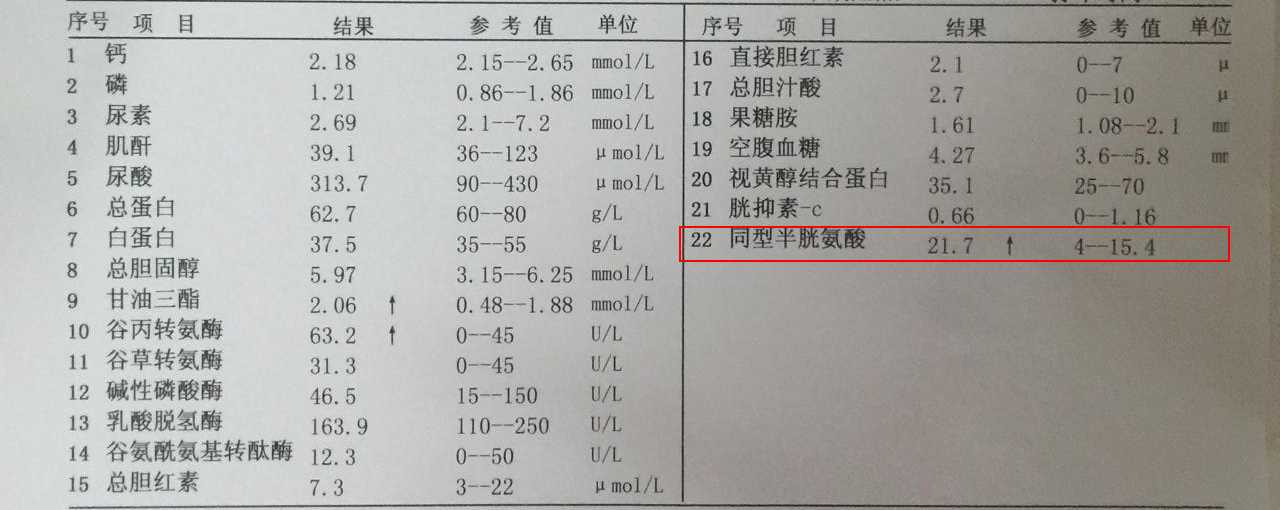高同型半胱氨酸血症